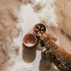 Slow Feeder Bowl product image