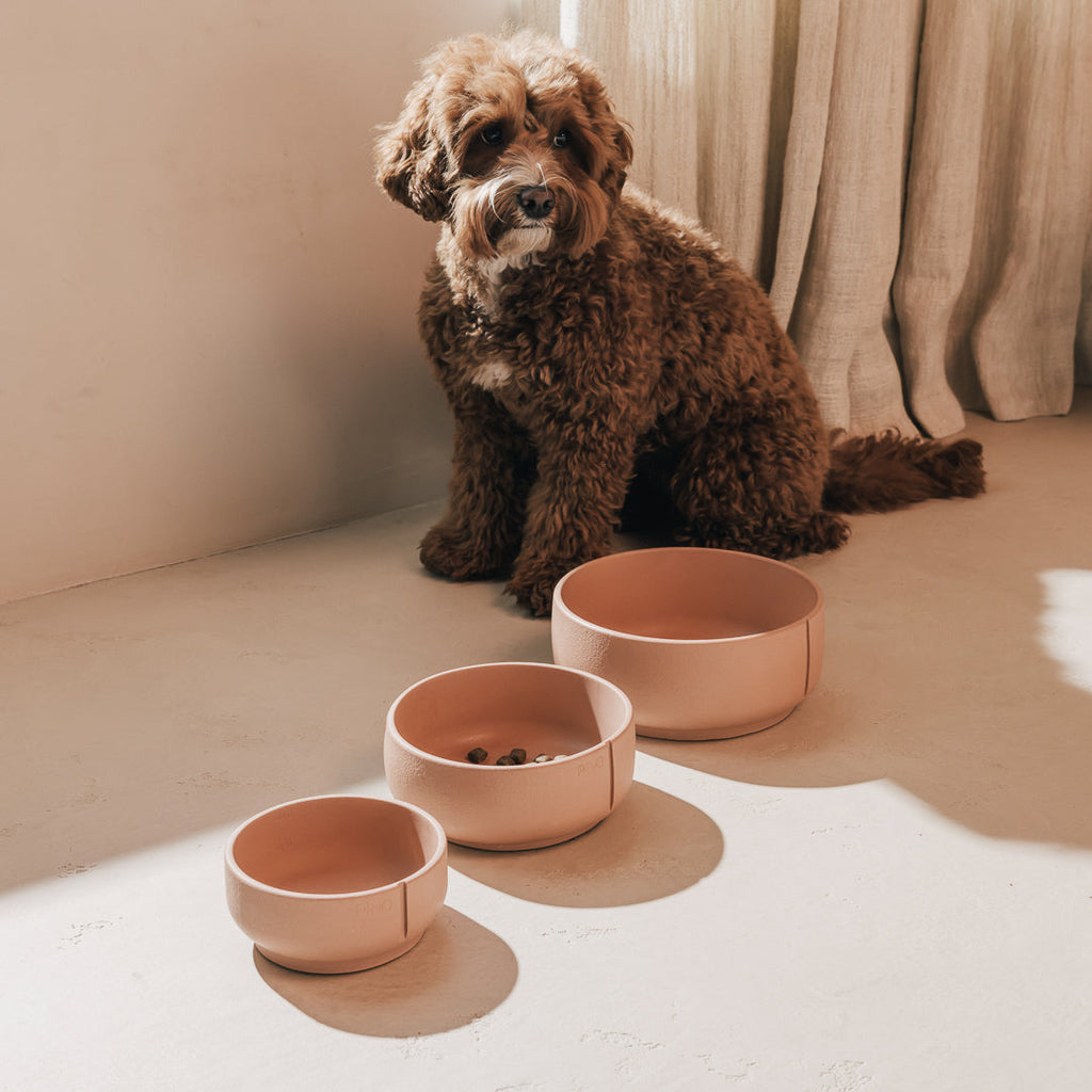 Classic Bowl product image