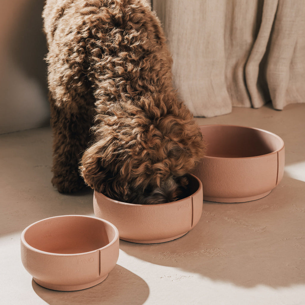 Classic Bowl product image