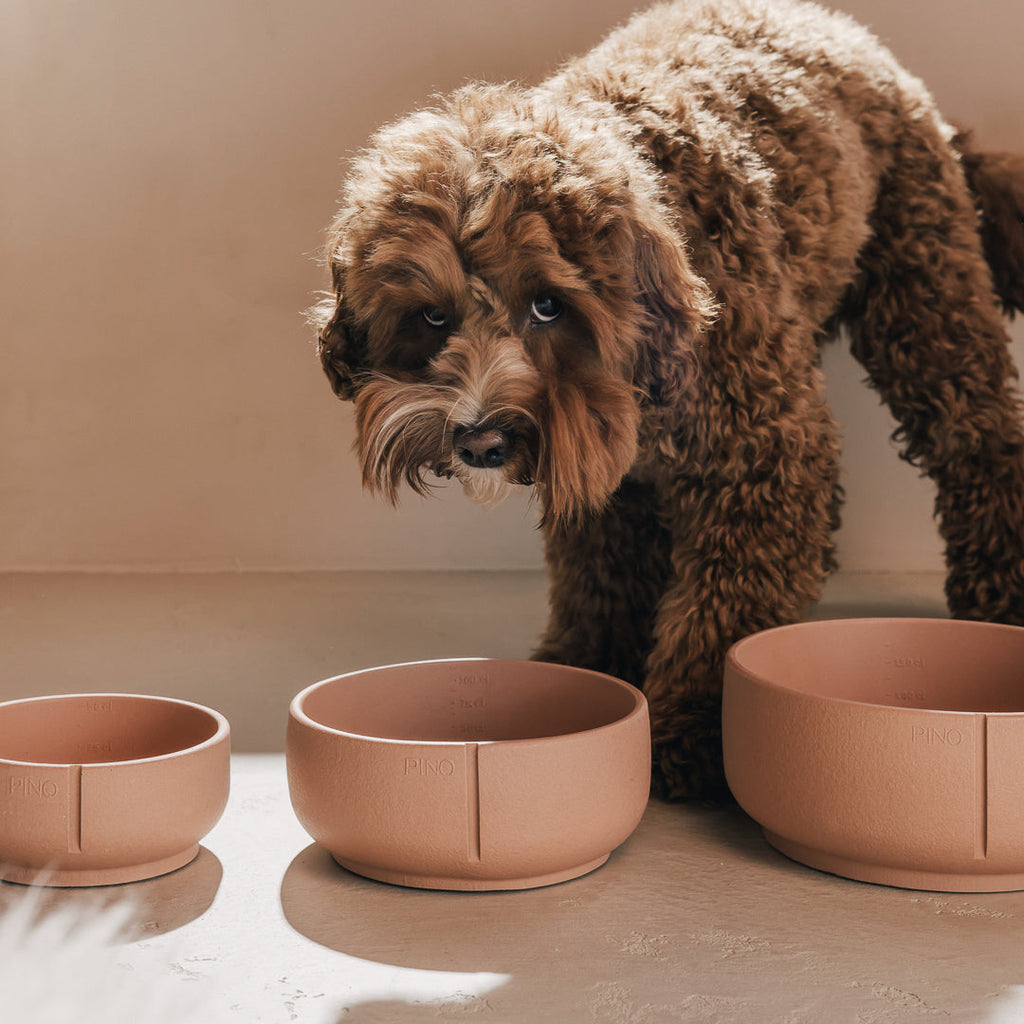Classic Bowl product image