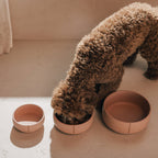Classic Bowl product image