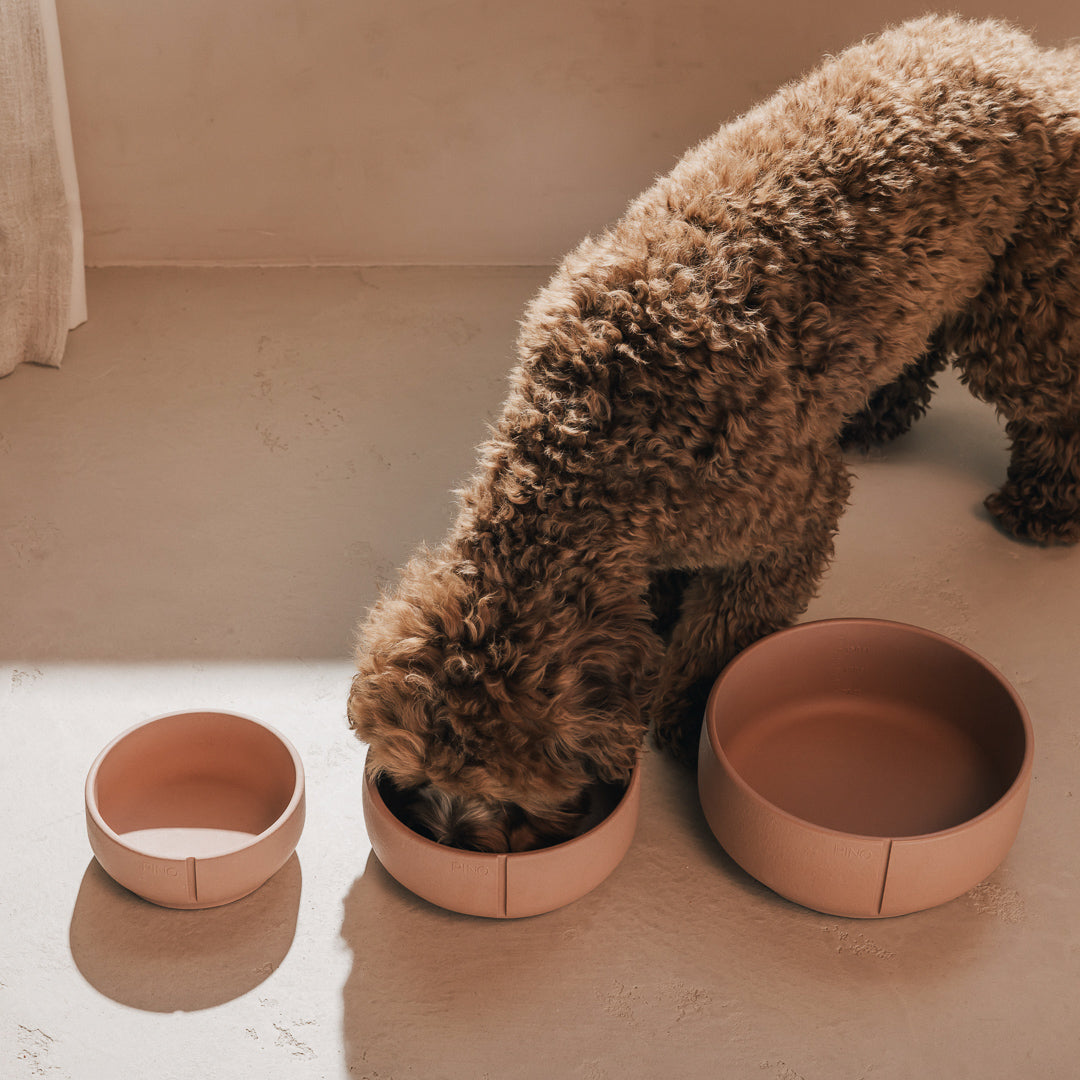 Classic Bowl product image