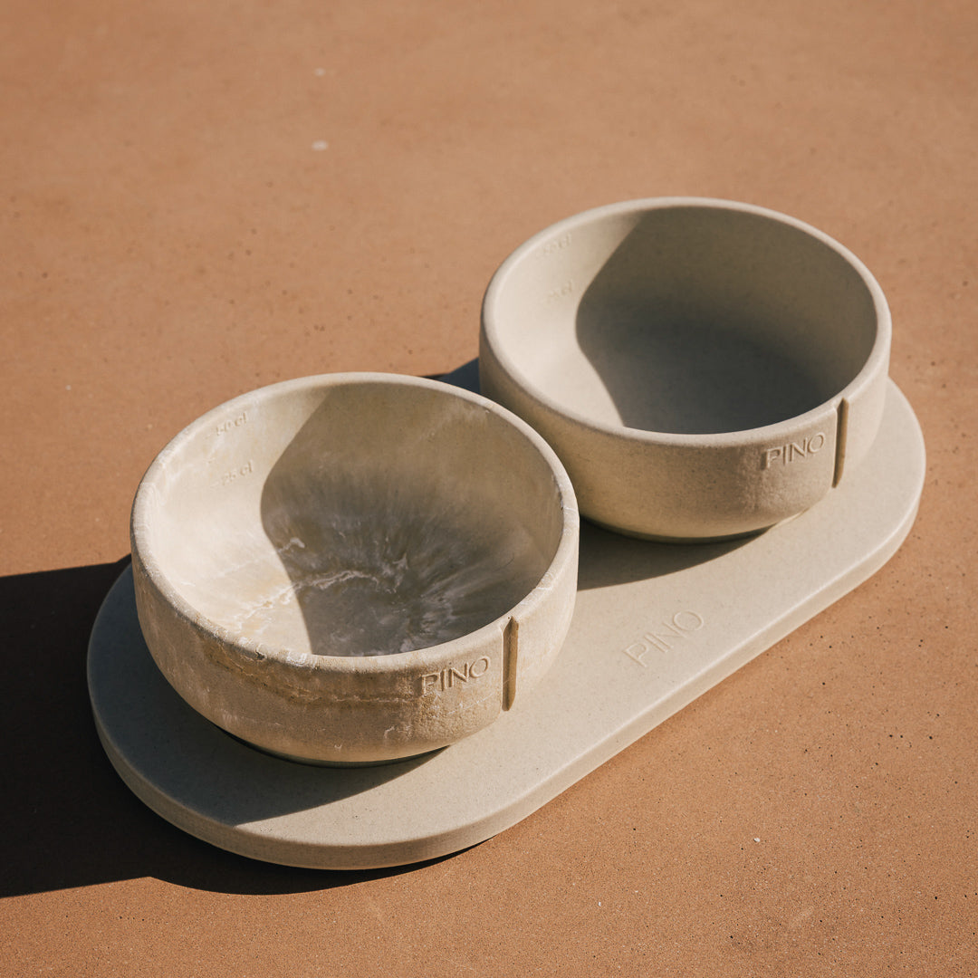 Tray for Dogs product image