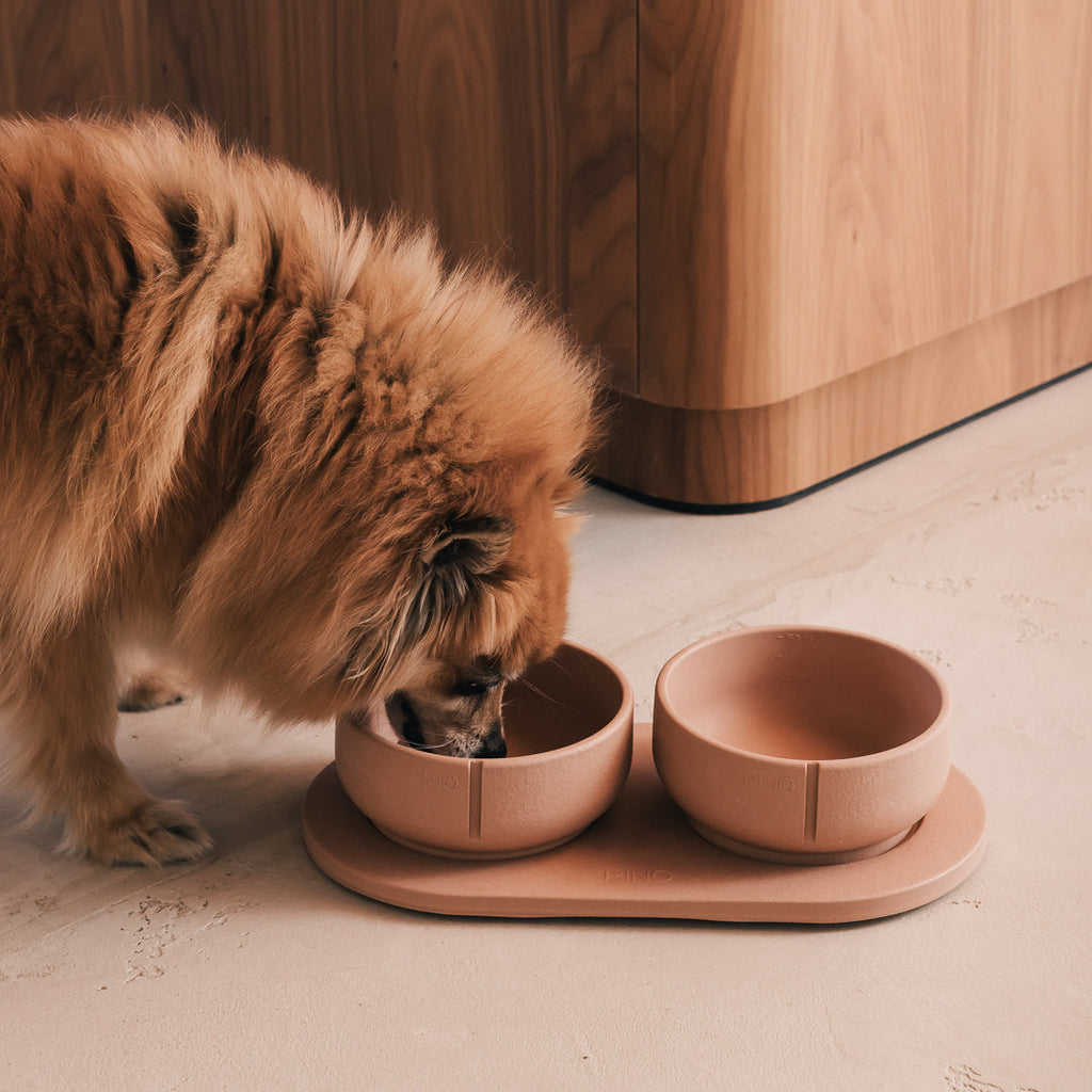 Classic Bowl product image