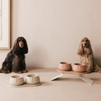 Tray for Dogs product image