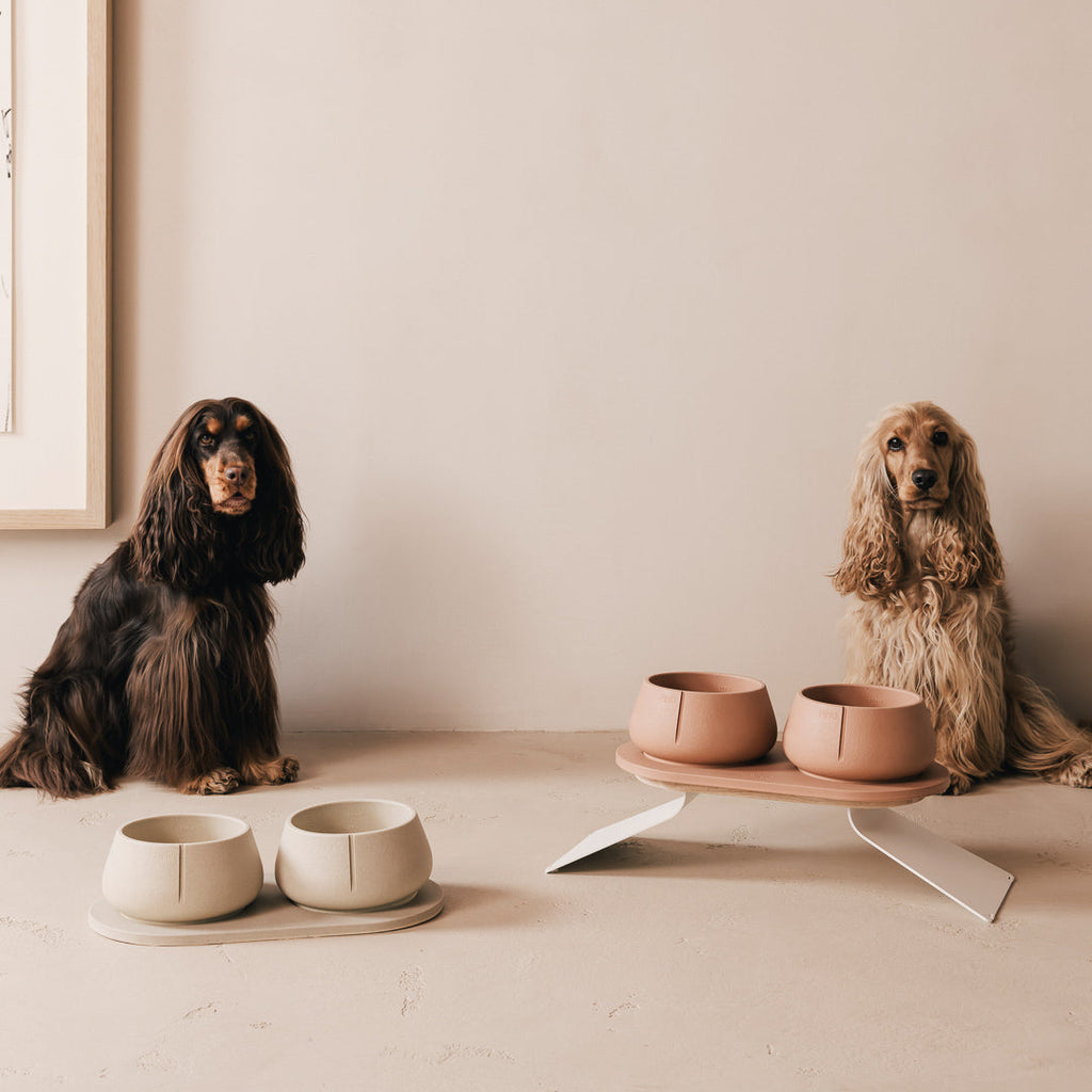 Perfect Posture Bundle for Dogs product image