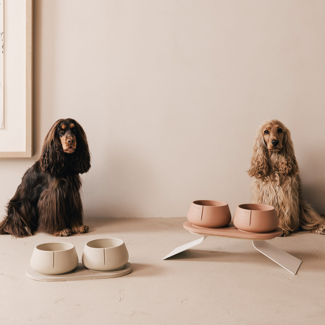 Perfect Posture Bundle for Dogs product image