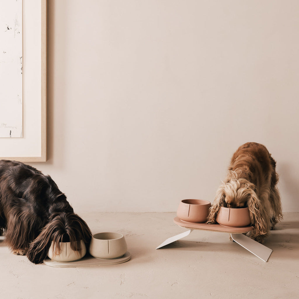 Perfect Posture Bundle for Dogs product image