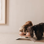 Perfect Posture Bundle for Dogs product image
