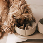 Perfect Posture Bundle for Dogs product image