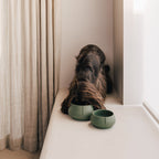 Long Ears Bowl product image