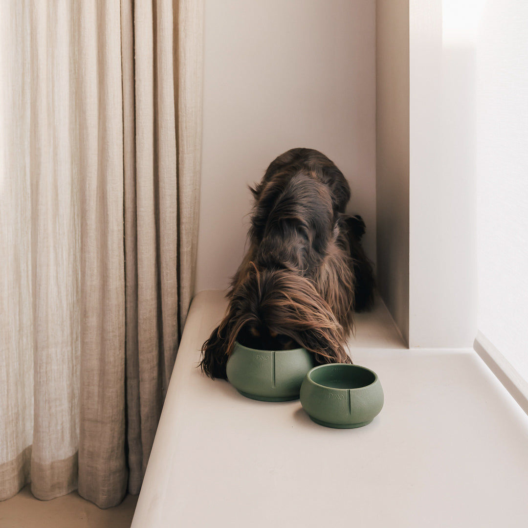 Long Ears Bowl product image