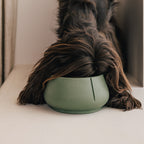 Long Ears Bowl product image