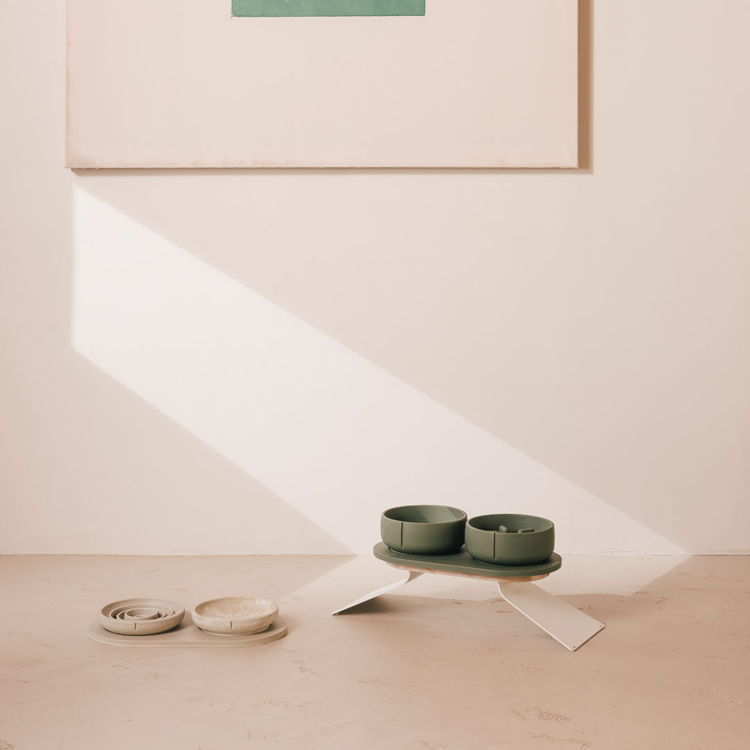 Tray for Dogs product image