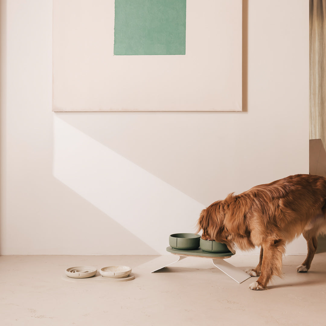 Perfect Posture Bundle for Dogs product image