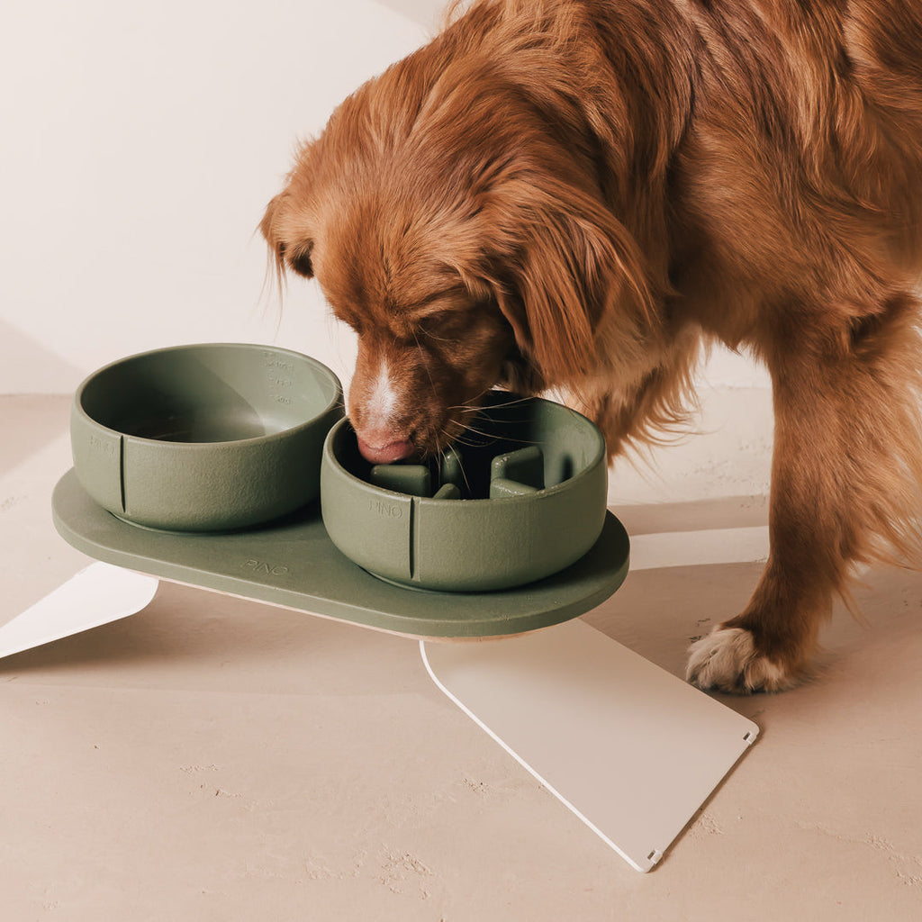 Perfect Posture Bundle for Dogs product image