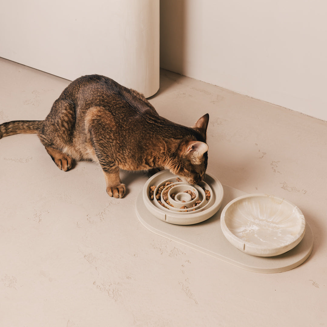 Slow Feeder Bowl for Cats product image