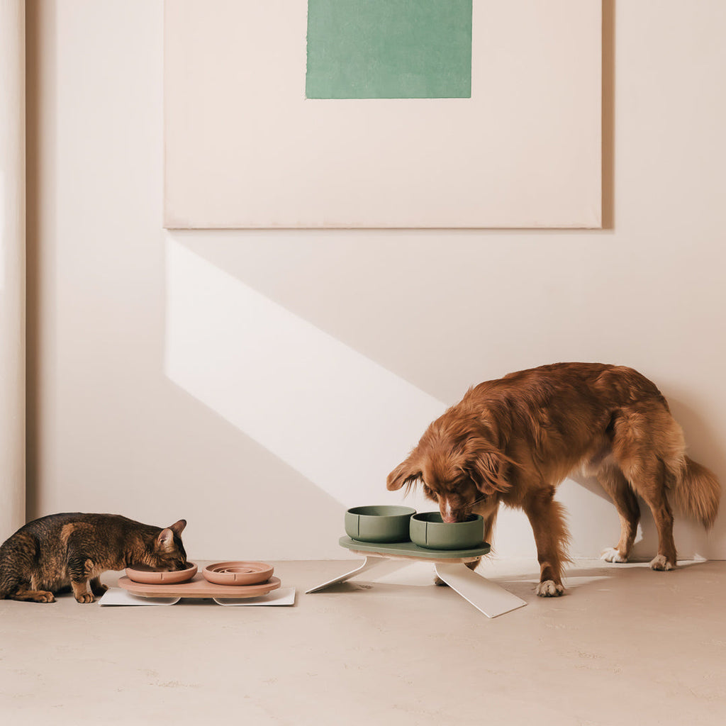 Perfect Posture Bundle for Dogs product image
