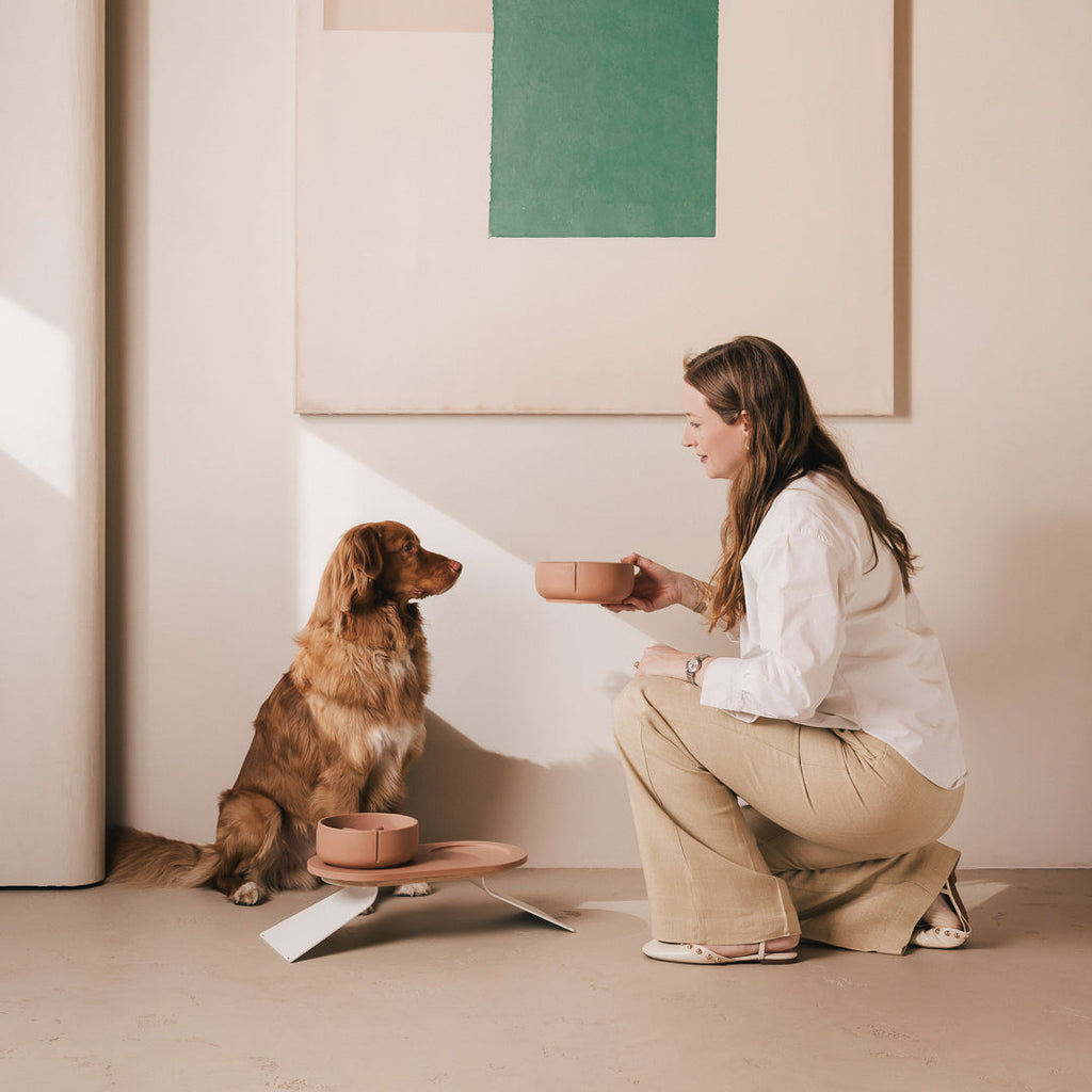 Perfect Posture Bundle for Dogs product image