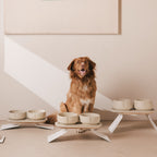 Perfect Posture Bundle for Dogs product image