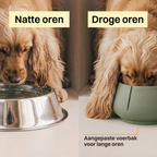 Long Ears Bowl product image