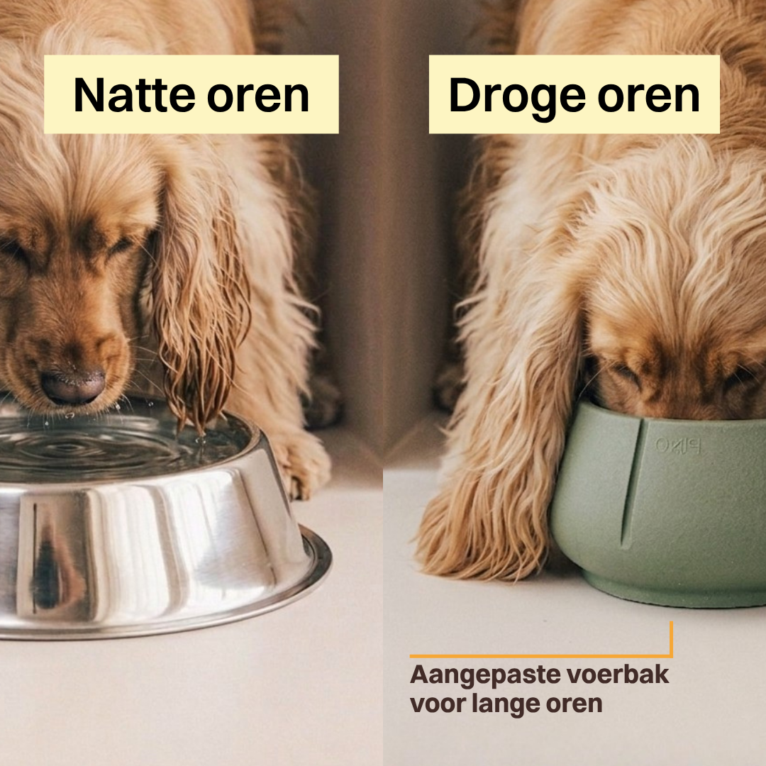 Long Ears Bowl product image