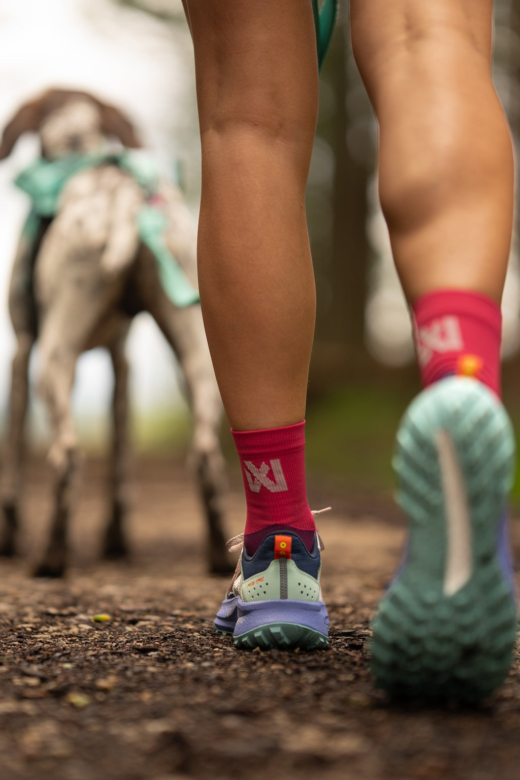 CaniX socks product image