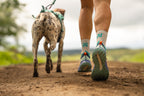 CaniX socks product image