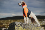 Protector t-shirt product image