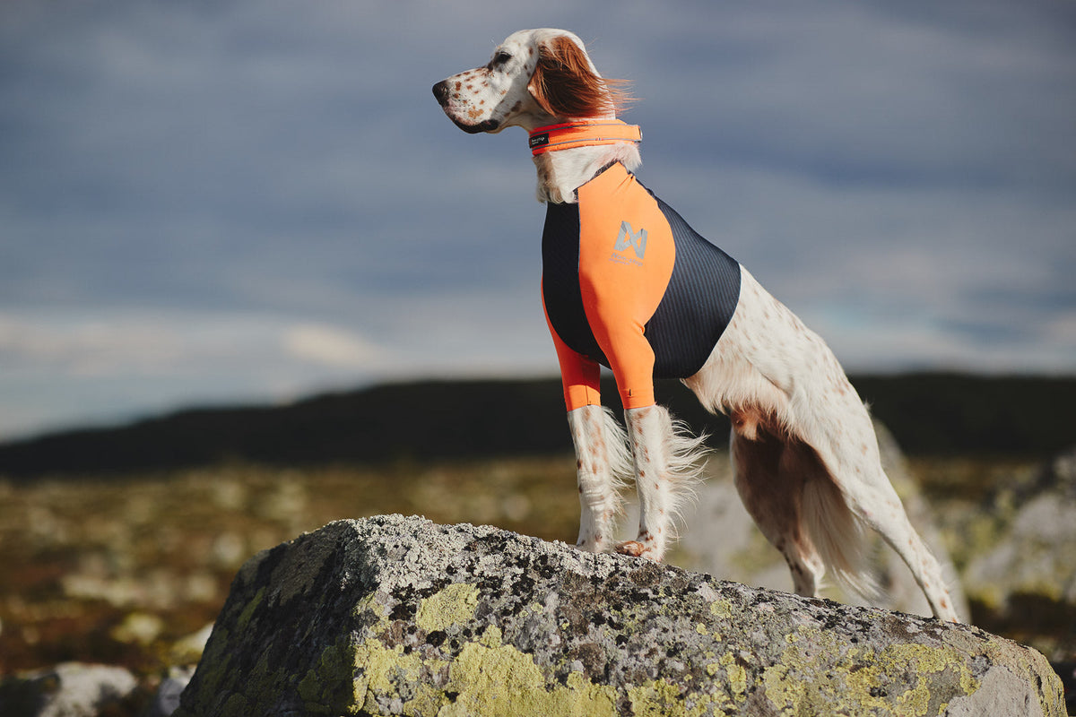 Protector t-shirt product image