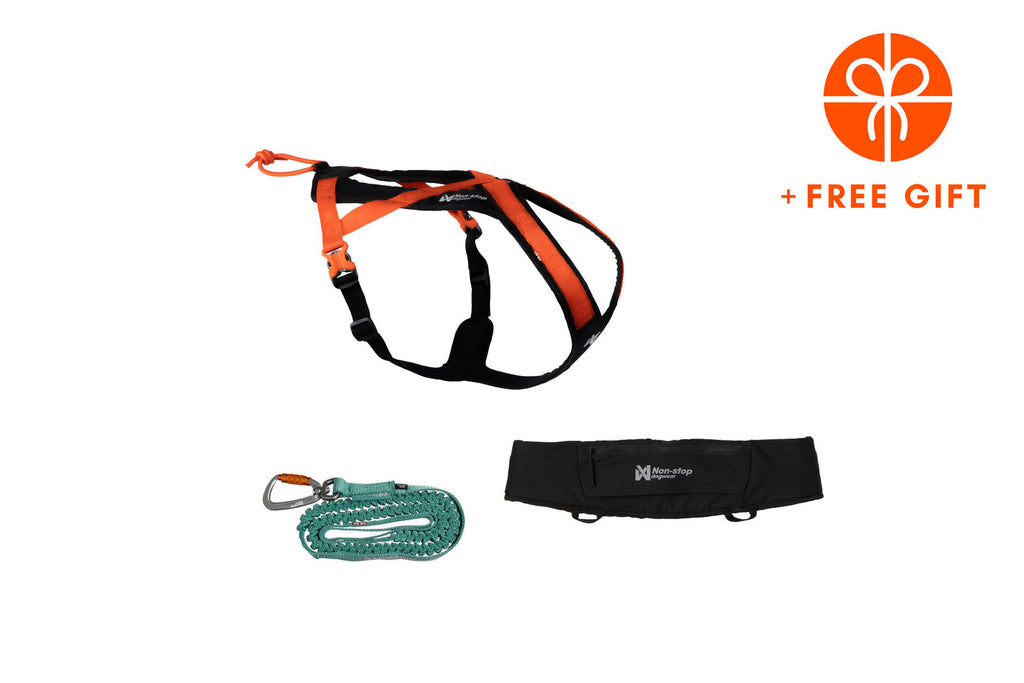 Rush kit Orange/black product image