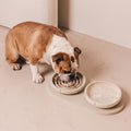 Flat Slow Feeder Bowl product image