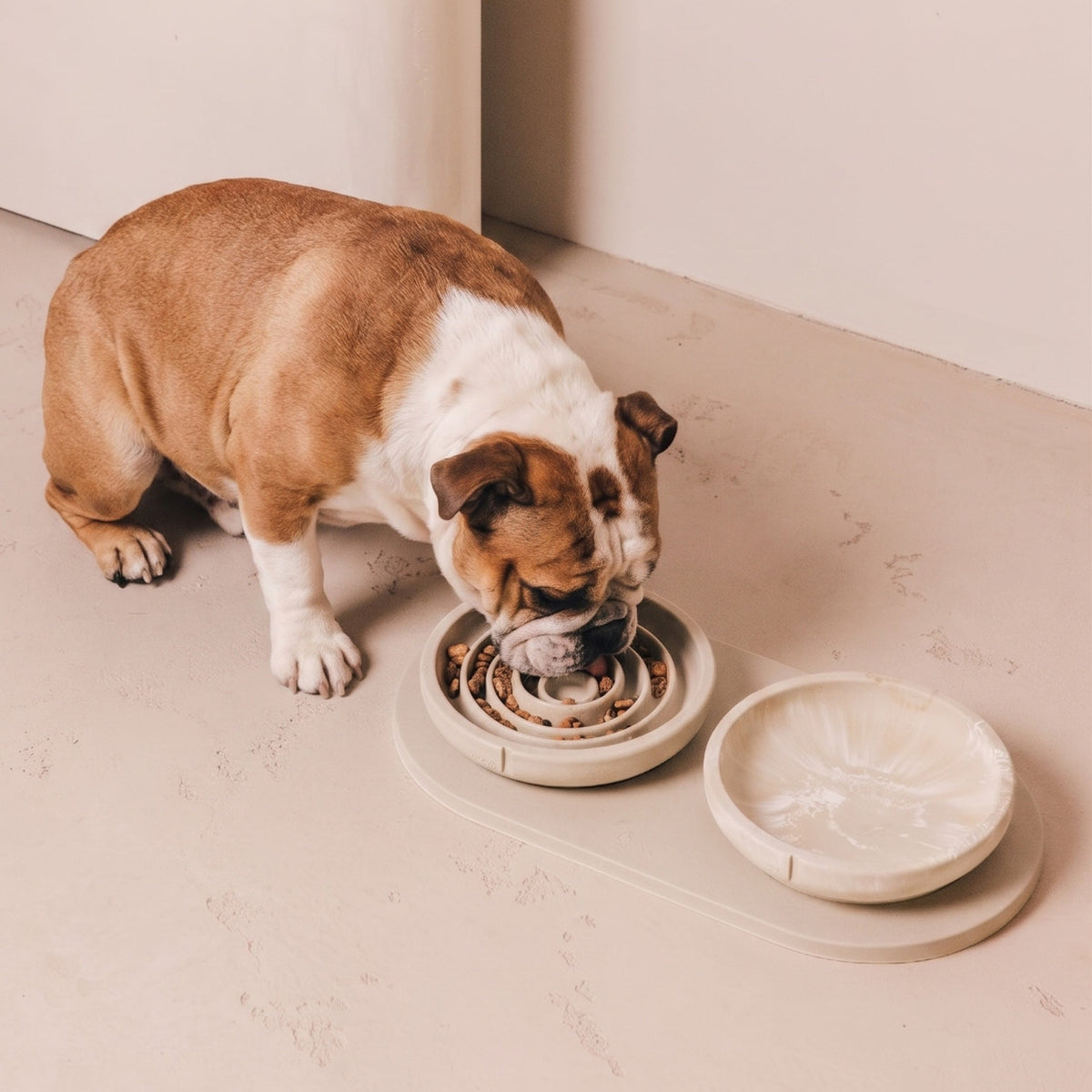 Flat Slow Feeder Bowl product image