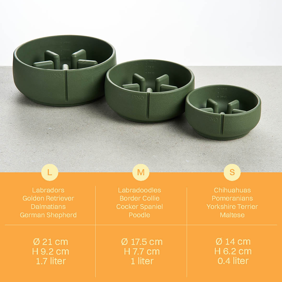 Slow Feeder Bundle product image
