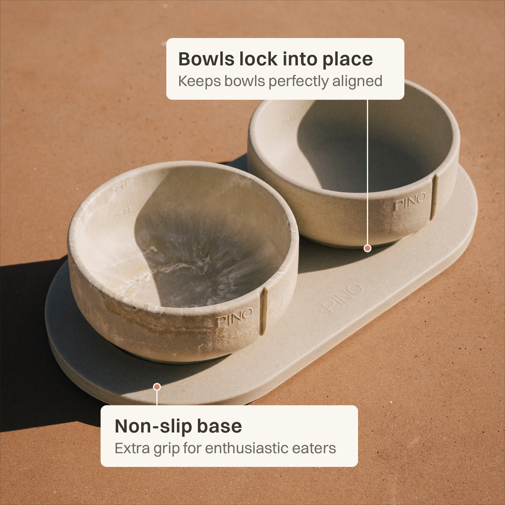 Tray for Dogs product image