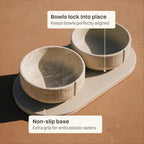 Tray for Dogs product image