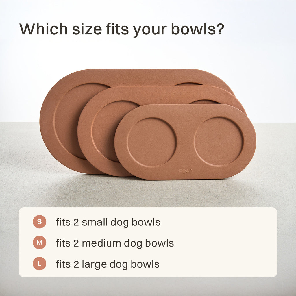 Tray for Dogs product image