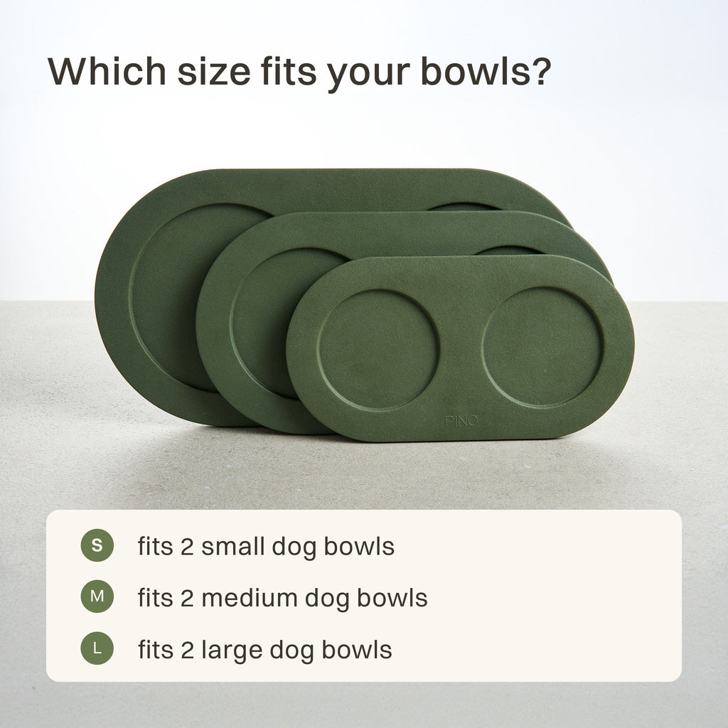 Tray for Dogs product image