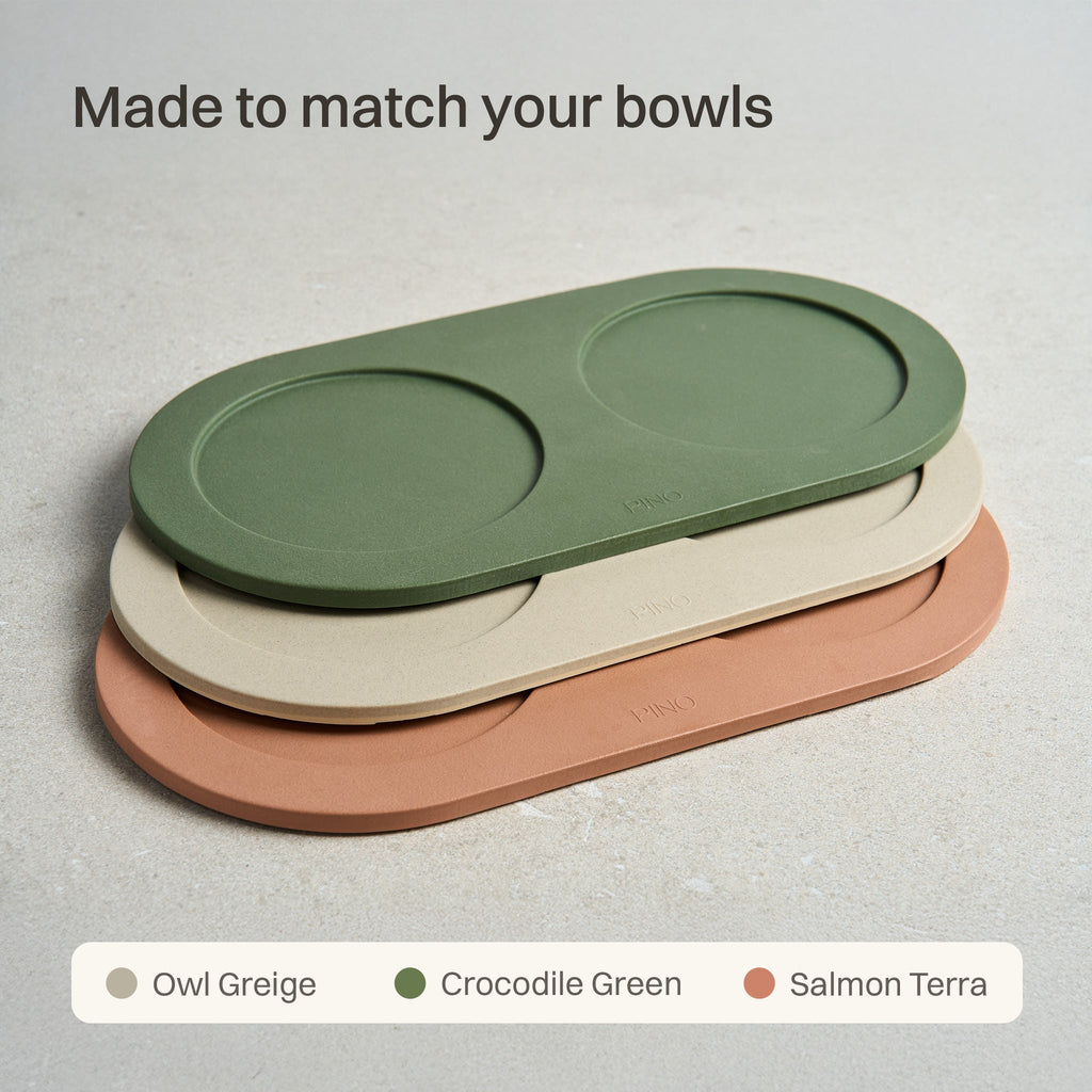 Tray for Dogs product image