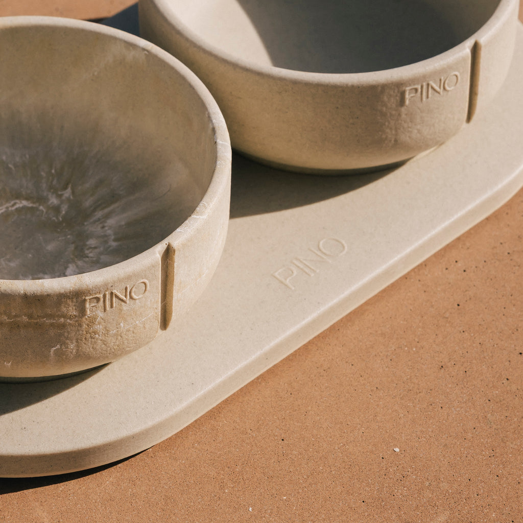 Tray for Dogs product image