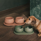 Tray for Dogs product image