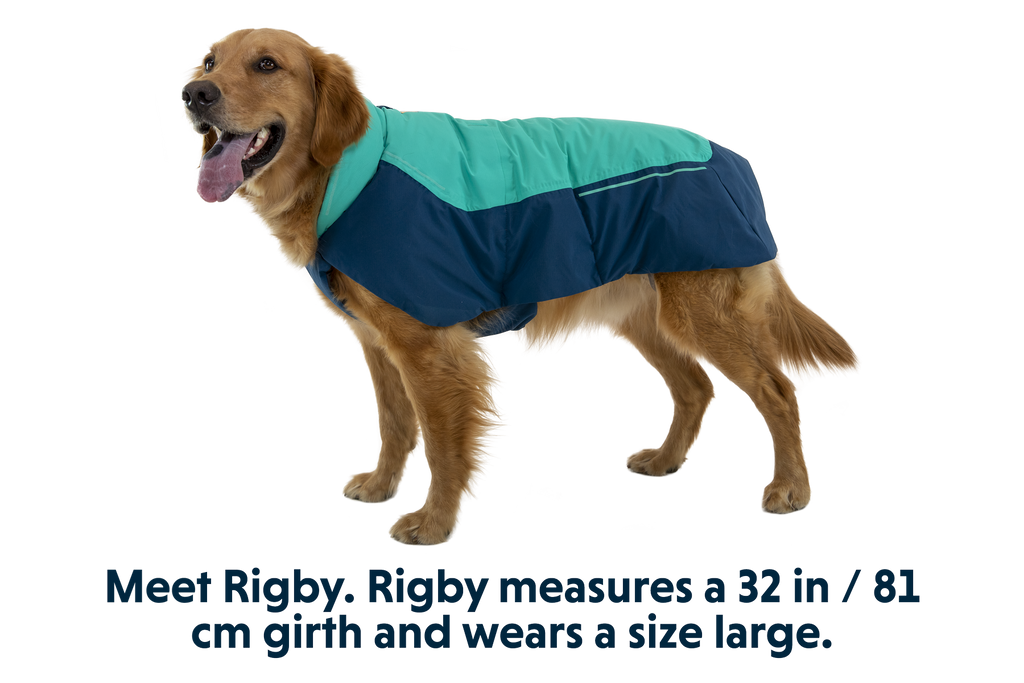 Vert™ Dog Vest product image