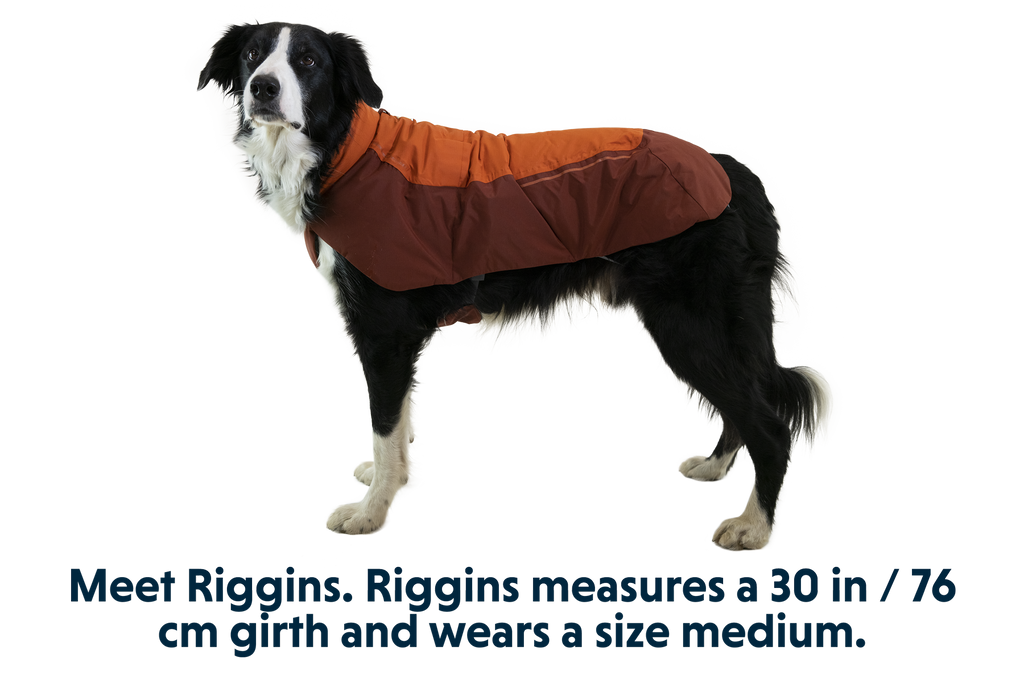Vert™ Dog Vest product image