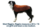 Vert™ Dog Vest product image