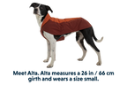 Vert™ Dog Vest product image