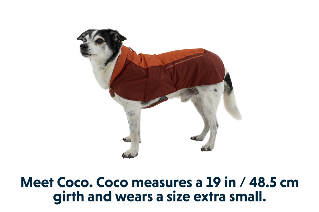 Vert™ Dog Vest product image
