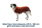 Vert™ Dog Vest product image
