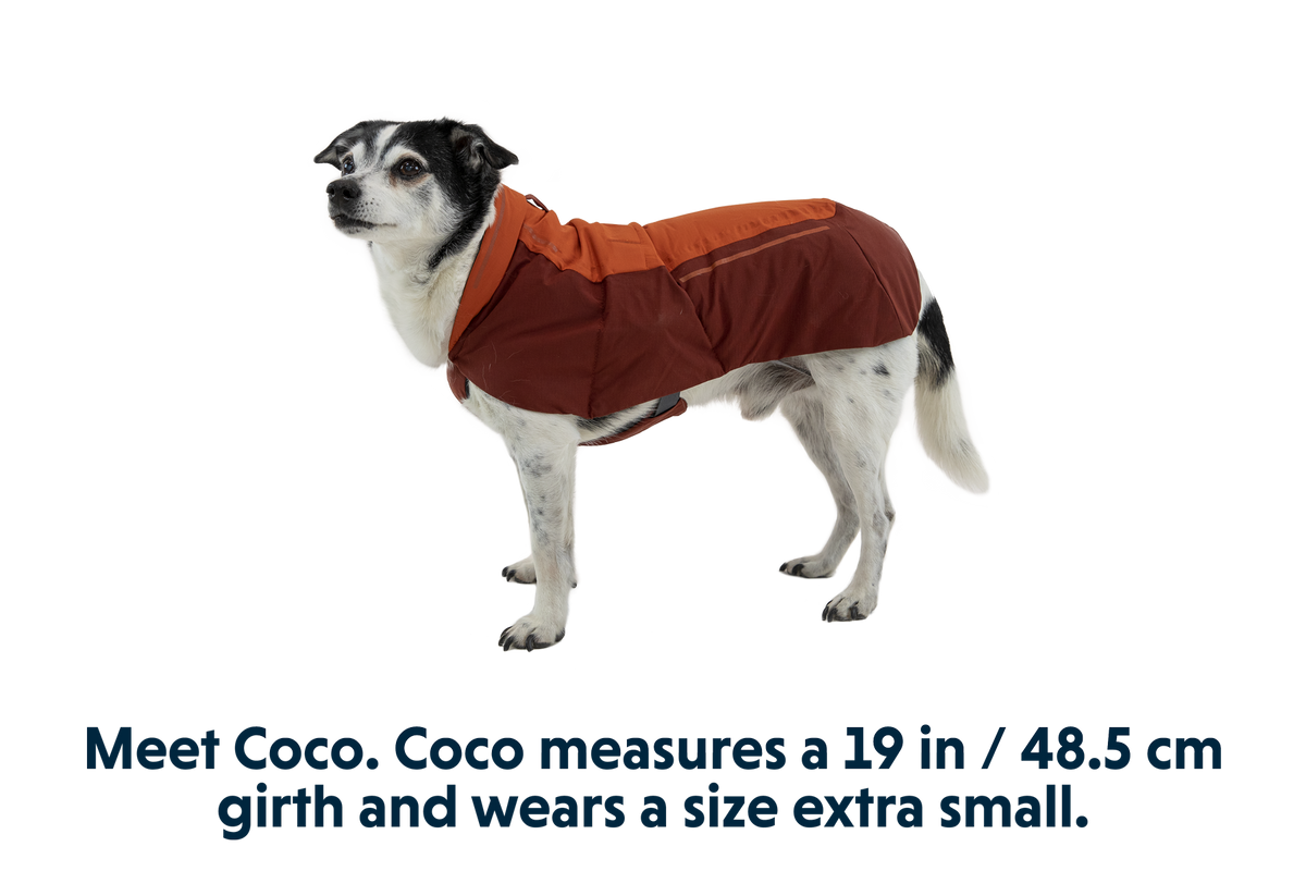 Vert™ Dog Vest product image