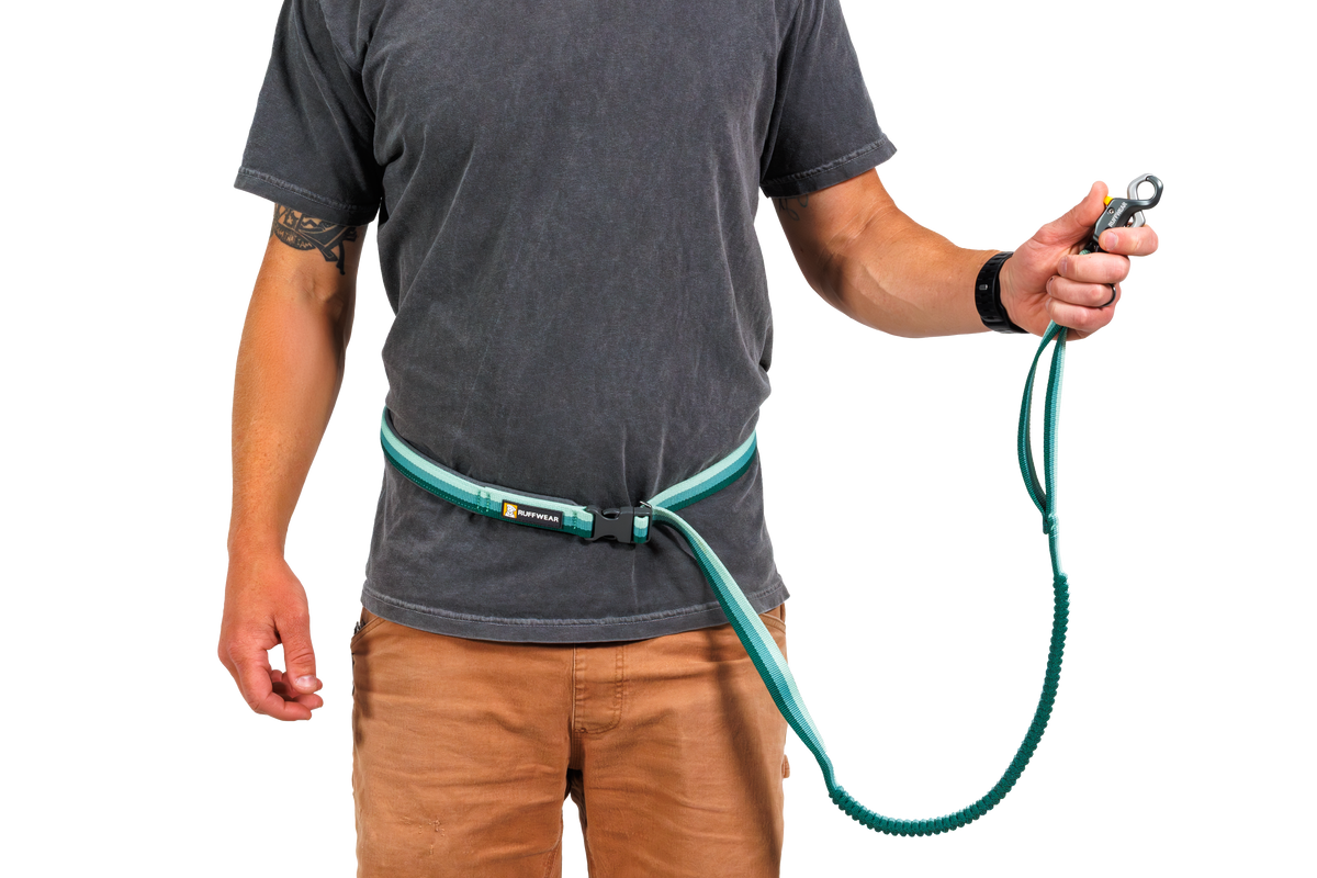 Roamer Lock™ Lead product image
