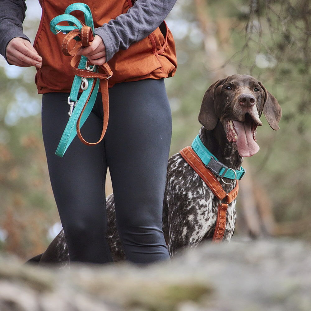 Casual Reflective Leash ECO product image